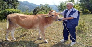 (Özel) Dronedan Korkan Ve Tepkileriyle Fenomen Olan Hasan Amca Konuştu: