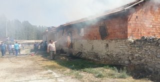 Günyüzü Nde Yangın Paniği