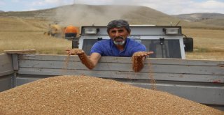 Biçerdöverler Tarlaya Girdi, Hasat Yüzleri Güldürdü