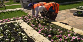 Park Ve Bahçeler Müdürlüğü Kenti Güzelleştiriyor