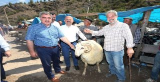 Protokolden Kurban Pazarı Turu