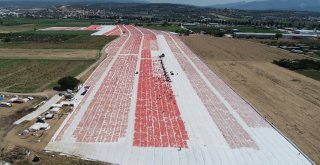İzmir Ovaları Kırmızıya Büründü