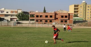 Silopi Belediyesinden Kamp Ve Eğitim Merkezi