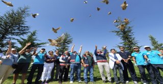 Doğaya Geri Dönüş