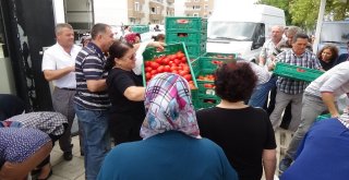 Edirnede Salçalık Domates İzdihamı