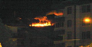 Ayvalıkta Orman Yangını