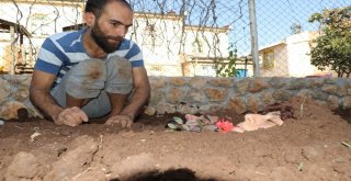 Diri Diri Toprağa Gömüldüler