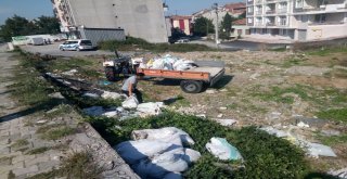 Bafrada Gelişigüzel Moloz Atanlara Müsamaha Yok