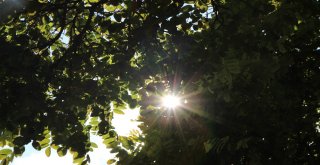 Eskişehir Ve Çevresinde Hava Durumu