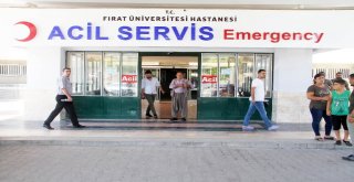 Elazığda Acemi Kasaplar Tecrübelendi