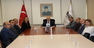 Temel Farkındalık Eğitimi İşbirliği