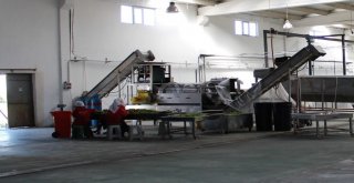 Tarımsal Ürünler Avrupa Sofralarında