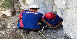 Mağarada Mahsur Kalan Keçileri Afad Kurtardı