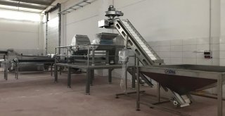 Burhaniye Zeytincilik Osbde İlk Fabrika Kuruldu