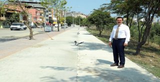 Samsunun “Yaşam Parkuru” Şekilleniyor