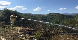 Yenicede Bahçe Yangını