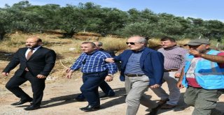 Gömeçte Susuzluk Sorunu Tarihe Karışıyor