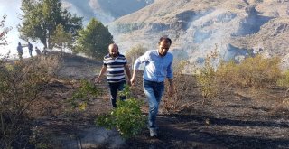 Gümüşhanedeki Örtü Yangını Kontrol Altına Alındı