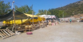 Kuşadasında Kurbanlıklar Elde Kaldı