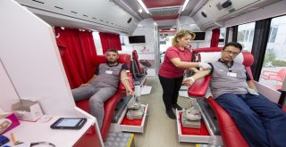 Teıden Anlamlı Proje