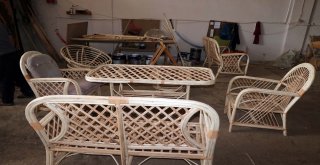 Kestane Ağaçları Bambu Mobilyalara Dönüşüyor