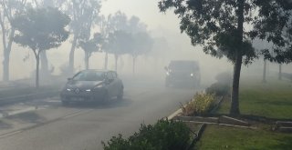 İzmirde Ot Yangını Paniğe Sebep Oldu