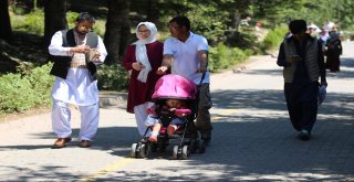 Gölcük Tabiat Parkında Bayram Tatili Yoğunluğu