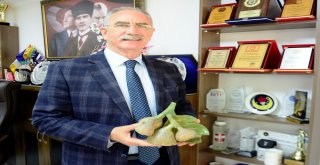 İncirliovalılar ‘İncir Festivali İle Coşacak