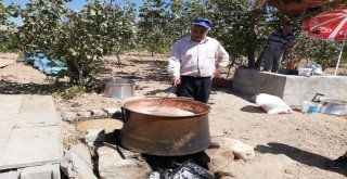 Eruhta Pekmez Yapımına Başlandı