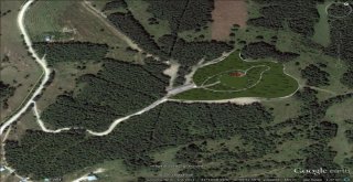 Başkan Tok: “Doğaya Sahip Çıkıyoruz”