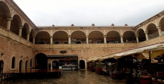 Yeni Han Daha Aktif Hale Gelecek