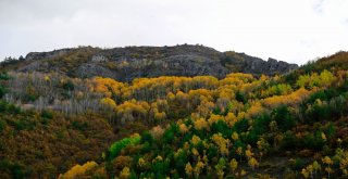 Gümüş Şehir Altın Rengine Büründü