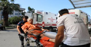 Acemi Kasaplar Hastanelik Oldu