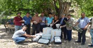 İpekböceği Kadınların Yüzünü Güldürdü