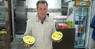 Sarı Karpuz Görenleri Şaşırtıyor