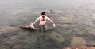 Oltaya Balık Değil Martı Vurdu