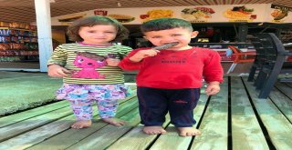 Plajda Kaybolan İki Çocuk Ailesine Teslim Edildi