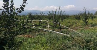 Hırsızların Dadandığı Elektrik Direkleri Tarlalara Devrildi