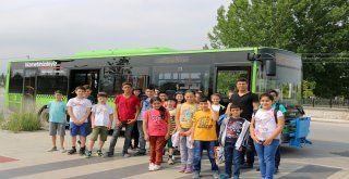 Sgmli Minikler Maceraya Katıldı