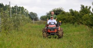 Rektör Bilgiç Traktörle Hasat Yaptı