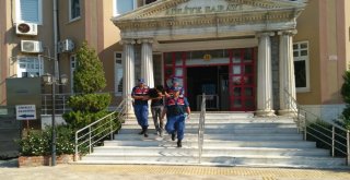 Didim Jandarması Kaçakçılara Göz Açtırmadı