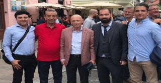 Tepale Ulusal Komite Yetkisi