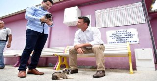 Başkan Sarıkurt, Hayvan Bakımevini Ziyaret Etti