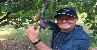 Coğrafi İşaretler Afyonkarahisarda Konuşulacak