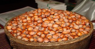 İfmib Başkanı Gören: Türkiyenin Fındık İhracatı Yüzde 60A Düştü”