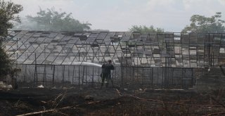 Hortumun Yetişmediği Yerleri Su Kovalarıyla Söndürdüler