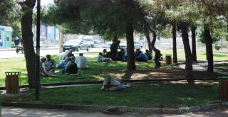 Sıcaklardan Bunalan Vatandaşlar Parklarda Serinliyor