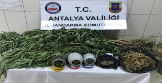 Uyuşturucu Operasyonunda 1 Kişi Gözaltında