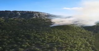 Antalyada Orman Yangını