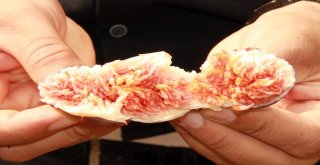 Hasat Sonrası Kayıplar Son Buluyor